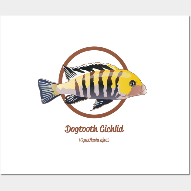 Dogtooth Cichlid Wall Art by Reefhorse